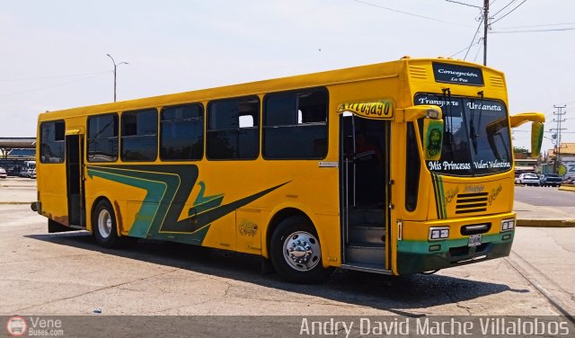 ZU - Colectivos Concepci�n 015 por Andry David Mache Villalobos