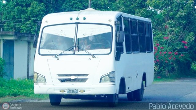 Particular o Desconocido Miranda por Pablo Acevedo