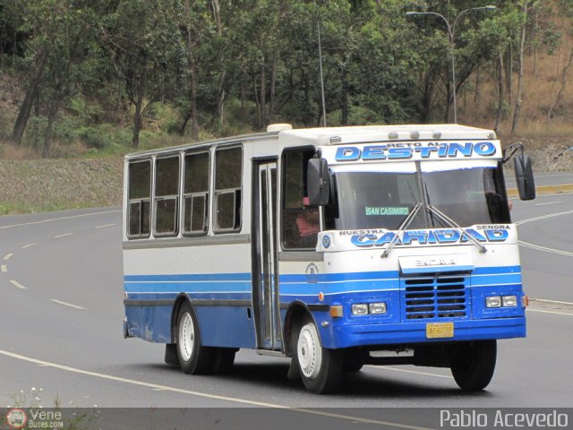 A.C. Valles de Aragua 30 por Pablo Acevedo