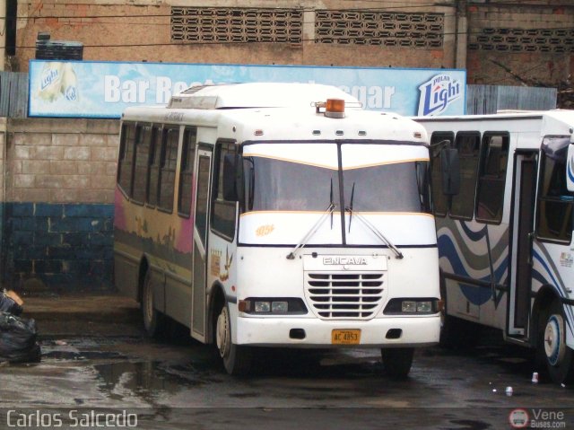 Uni�n Victoria 05 por Carlos Salcedo