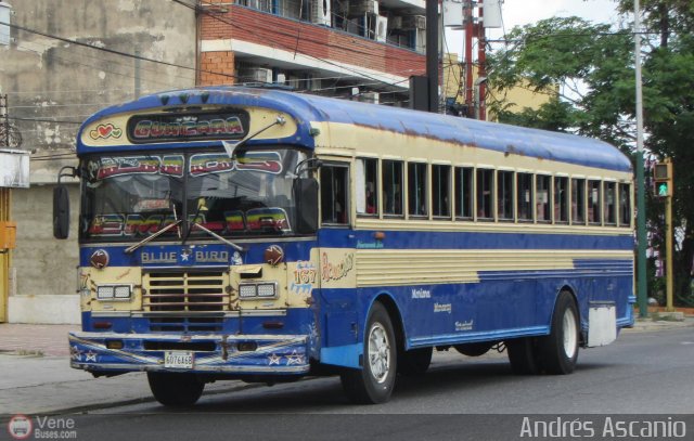 Transporte Guacara 0167 por Andr�s Ascanio