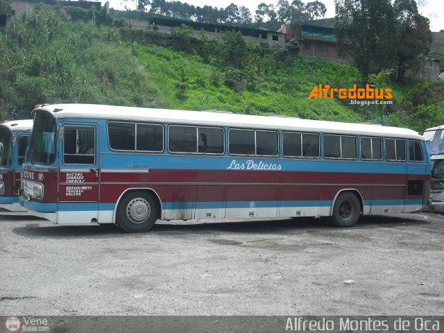 Transporte Las Delicias C.A. 12 por Alfredo Montes de Oca
