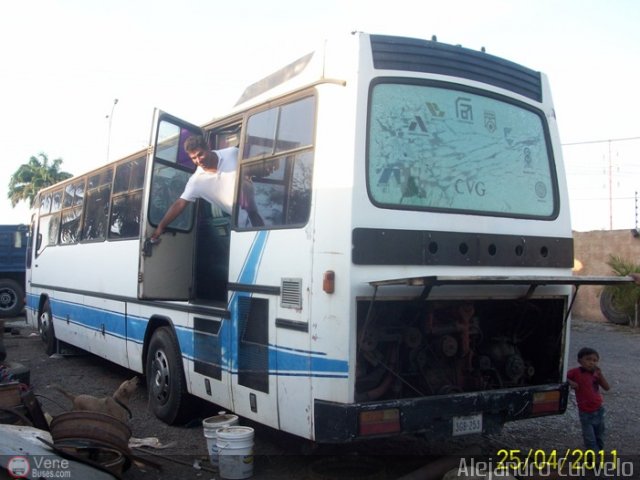 Nuestra gente Marlo Jose por Alejandro Curvelo