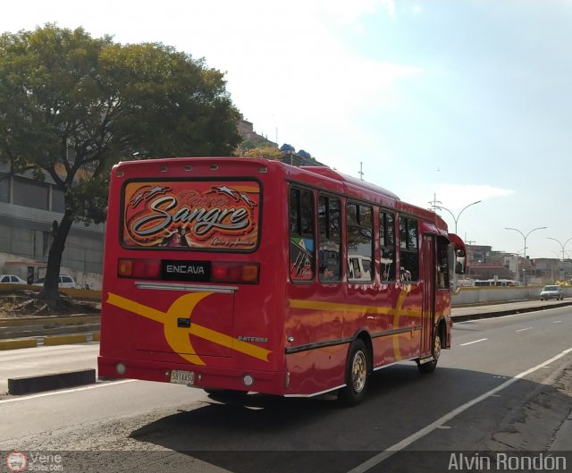 S.C.C. Expresos Sucre 038 por Alvin Rondn