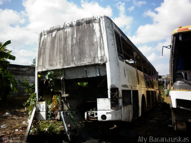 Foto �nibus Brasil.com, por Aly Baranauskas