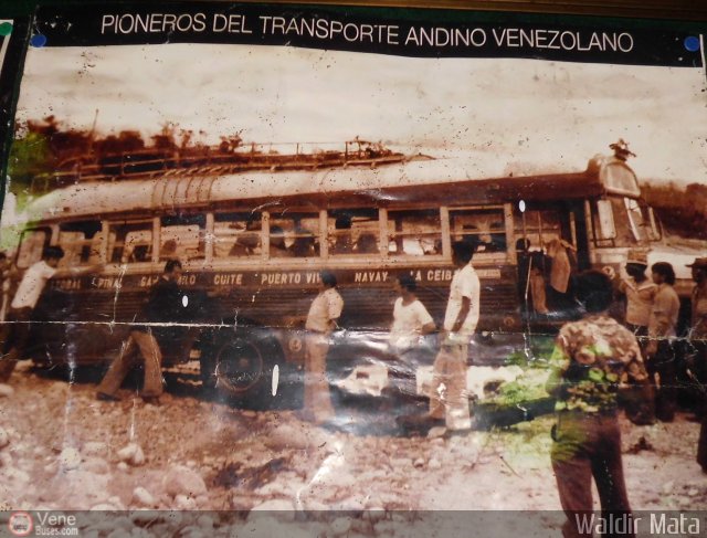 Expresos Occidente 999 por Waldir Mata