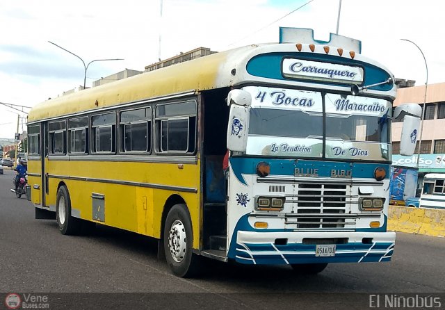 Colectivos Guasare C.A 26 por �ngel Delgado