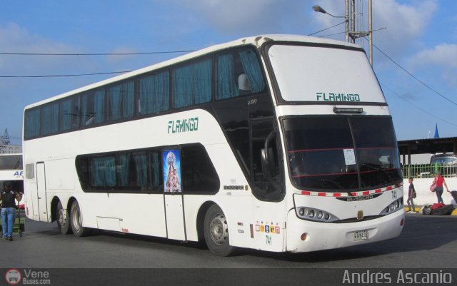 Expresos Flamingo 0741 por Andrs Ascanio