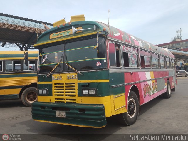 ZU - Colectivos Concepci�n 080 por Sebasti�n Mercado