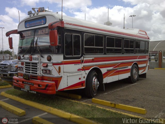 AN - A.C. de Conductores Divino Ni�o 303 por Victor Guarisma