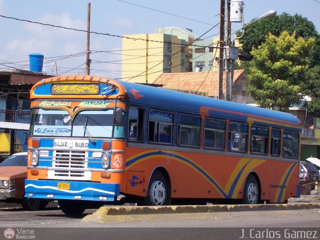 Colectivos Perij 24 por J. Carlos Gmez