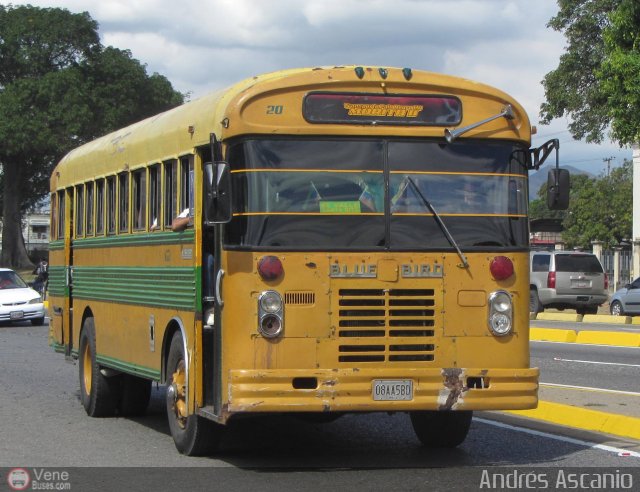 Transporte Palo Negro La Morita 2 020 por Andrs Ascanio