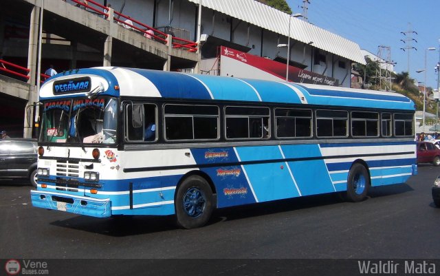 Expresos Pegamar 0008 por Waldir Mata