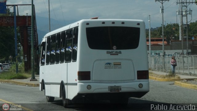 Colectivo Los Andes 19 por Pablo Acevedo