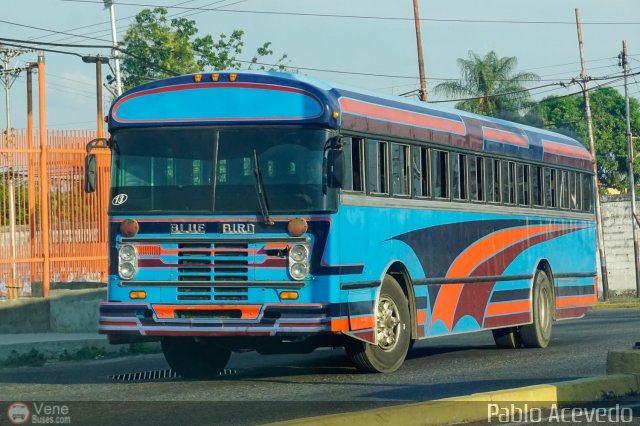 Particular o Desconocido 13 por Pablo Acevedo