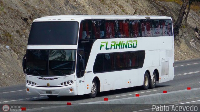 Expresos Flamingo 0090 por Pablo Acevedo