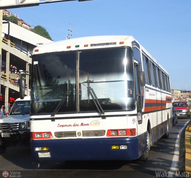 Expresos Los Morros 19 por Waldir Mata