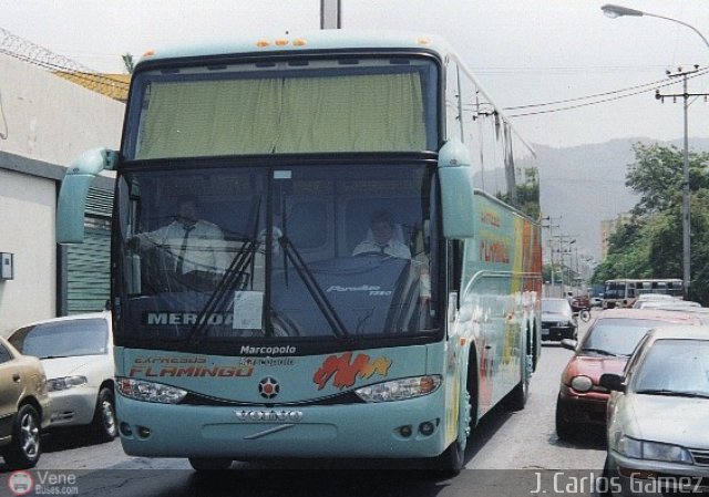 Expresos Flamingo 85 por J. Carlos G�mez