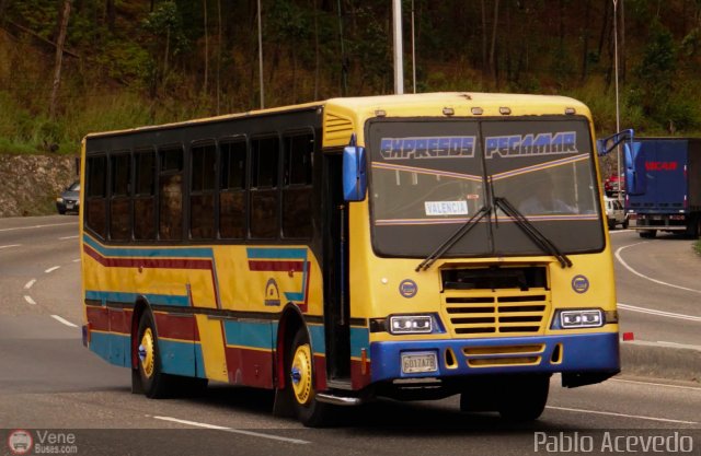 Expresos Pegamar 0015 por Pablo Acevedo