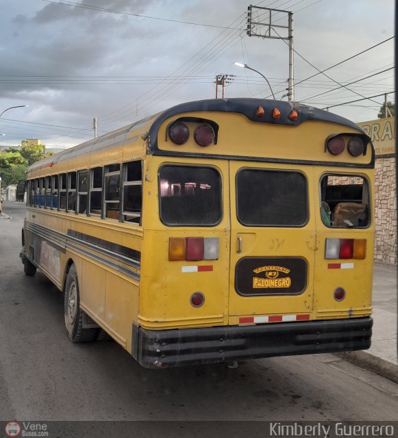 Transporte Colectivo Palo Negro 83 por Kimberly Guerrero