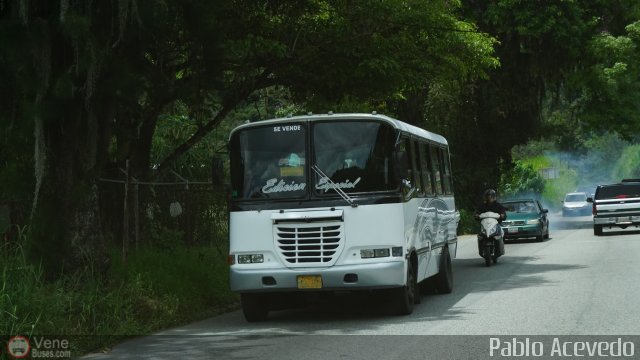 Línea Cultura 54 por Pablo Acevedo