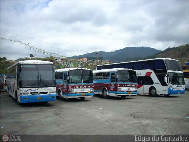 Garajes Paradas y Terminales Caracas por Edgardo Gonzlez