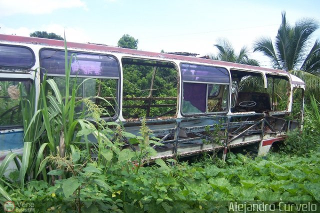 En Chiveras Abandonados Recuperaci�n 0302 corto por Alejandro Curvelo