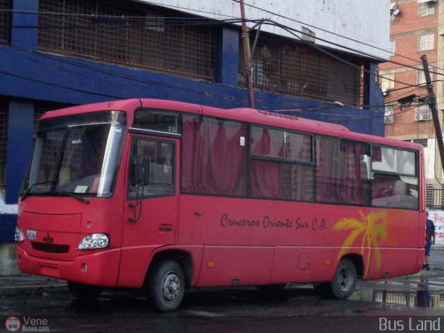 Cruceros Oriente Sur 113 por Waldir Mata