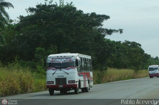 A.C. Barinas Elorza 96 por Pablo Acevedo