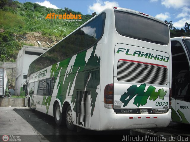 Expresos Flamingo 0079 por Alfredo Montes de Oca