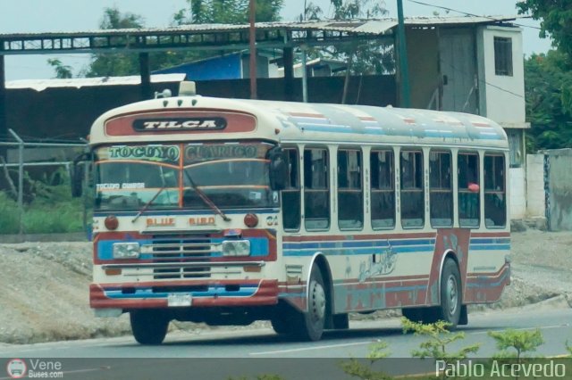 Línea Tilca - Transporte Inter-Larense C.A. 01 por Pablo Acevedo