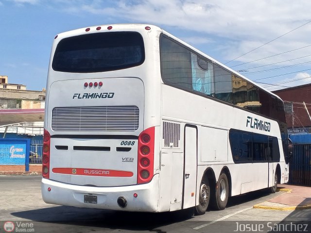 Expresos Flamingo 0088 por Josue S�nchez