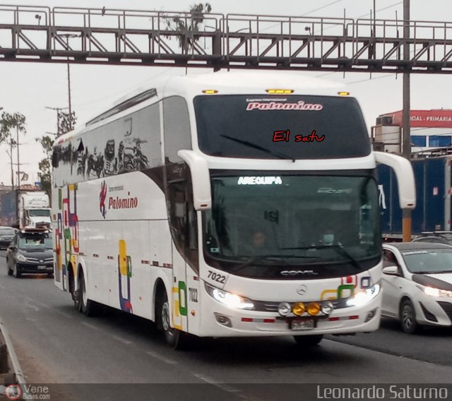 Expreso Internacional Palomino 7022 por Leonardo Saturno