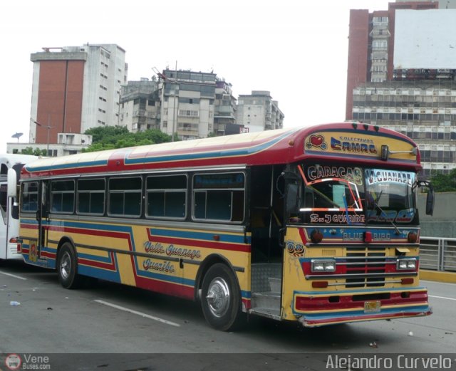 Transporte Colectivo Camag 08 por Alejandro Curvelo