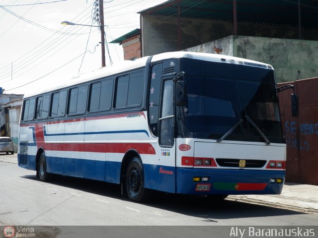 Sin identificacin o Desconocido 1003 por Aly Baranauskas