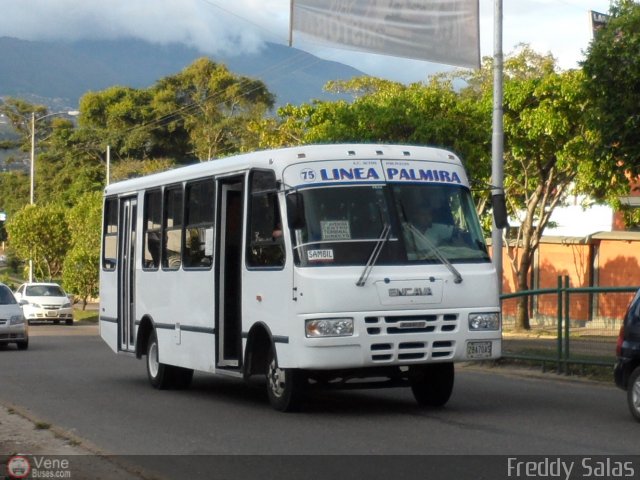 TA - A.C. Autos por puesto Lnea Palmira 075 por Freddy Salas