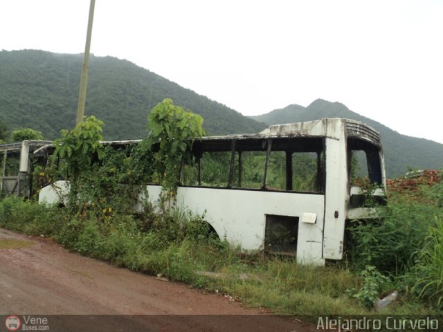 En Chiveras Abandonados Recuperacin 5036 por Alejandro Curvelo