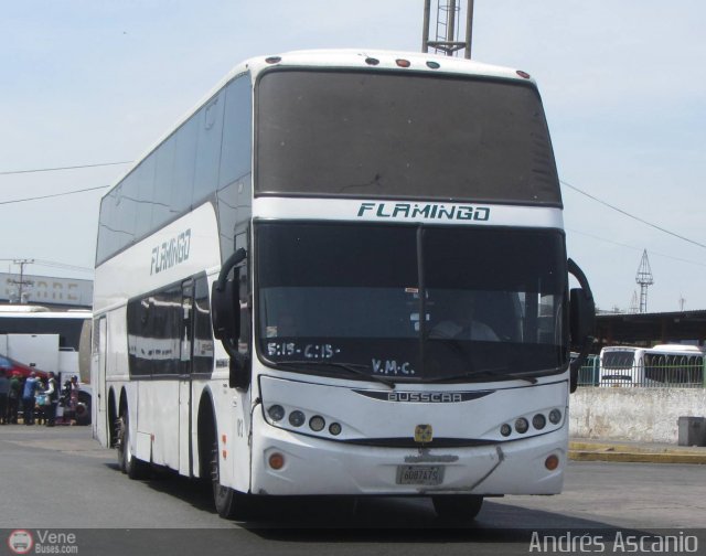 Expresos Flamingo 0013 por Andr�s Ascanio