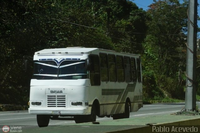 Particular o Desconocido 739 por Pablo Acevedo