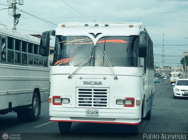 L�nea Altagracia 99 por Pablo Acevedo