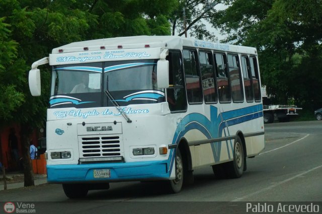 A.C. Mensajeros Llanos del Sur 006 por Pablo Acevedo