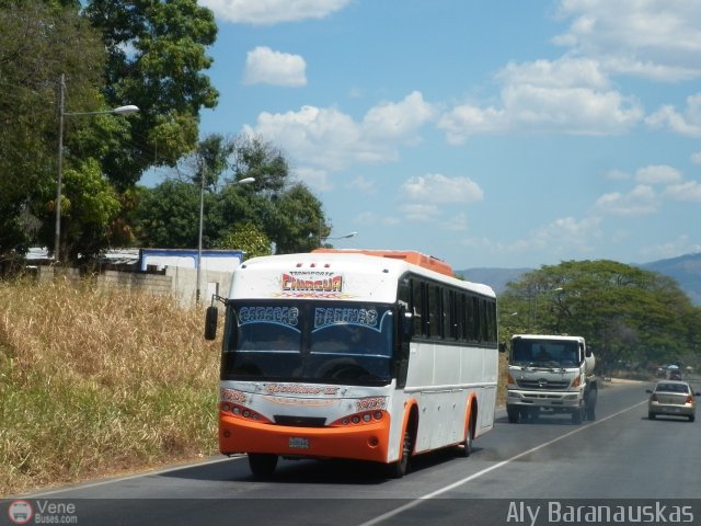 Transporte Chirgua 1006 por Aly Baranauskas