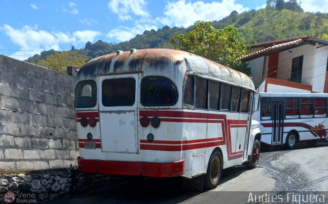 ME - Expresos Bonanza 40 por Andr�s Figuera