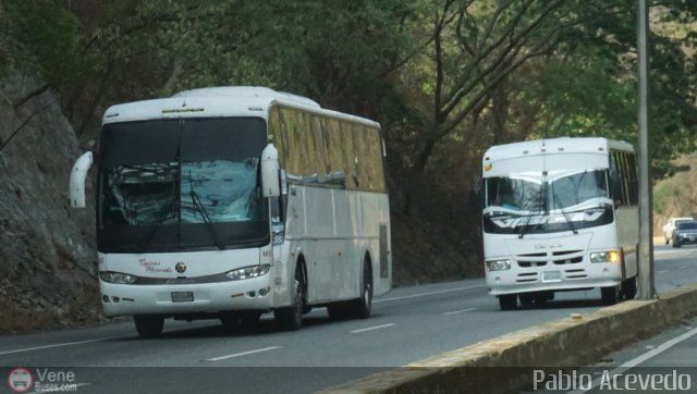 Expresos Maracaibo 6033 por Pablo Acevedo