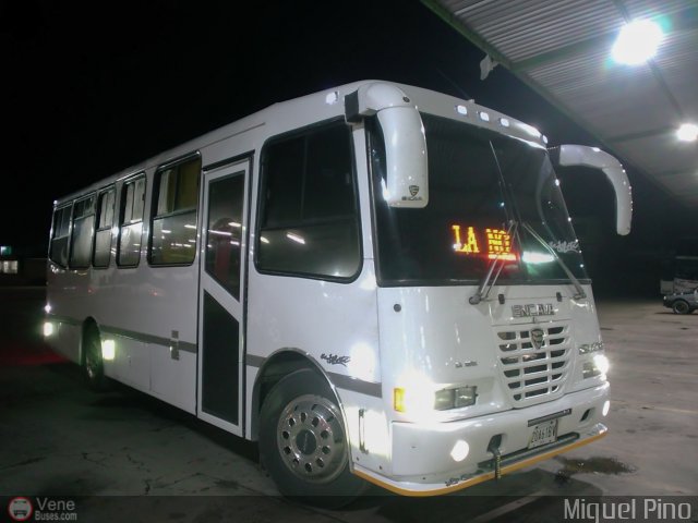 Particular o Desconocido 0010 por Miguel Pino