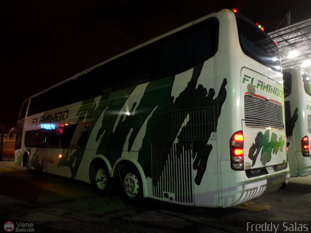 Expresos Flamingo 0141 por Freddy Salas