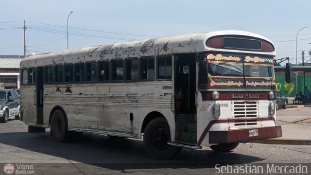 Colectivos Cachiri 06 por Sebastin Mercado