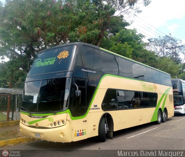 Expresos Primavera 033 por Marcos David M�rquez