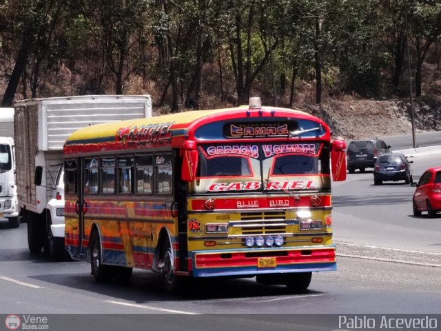 Transporte Colectivo Camag 02 por Pablo Acevedo