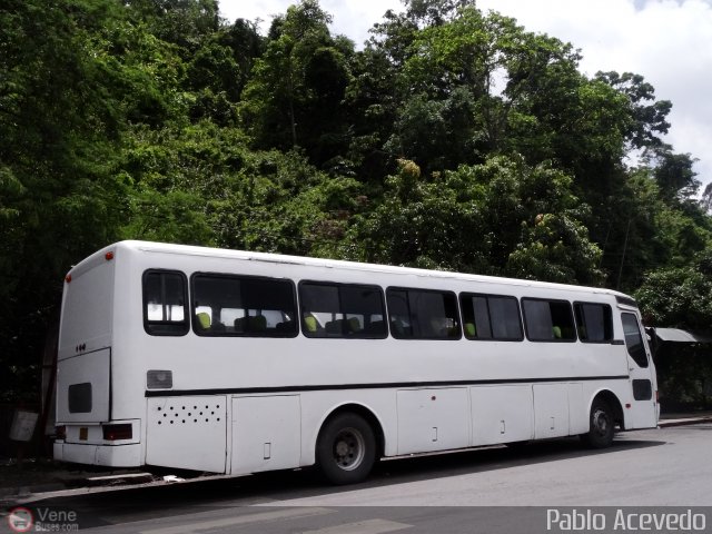 Particular o Desconocido 91 por Pablo Acevedo